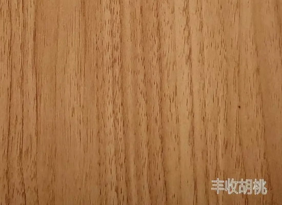 福景宝贝丰收胡桃